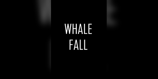 Cover image for Whale Fall