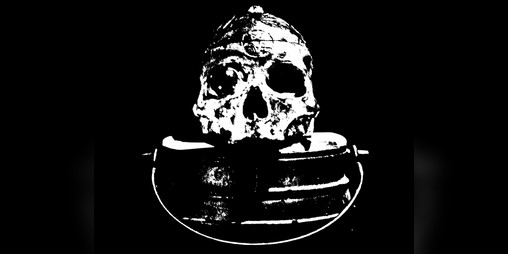 Cover image for FLESH