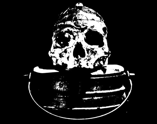 Cover image for FLESH