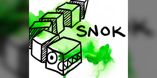 Cover image for Snok
