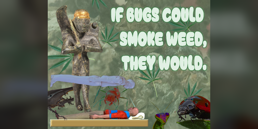Cover image for If Bugs Could Smoke Weed, They Would