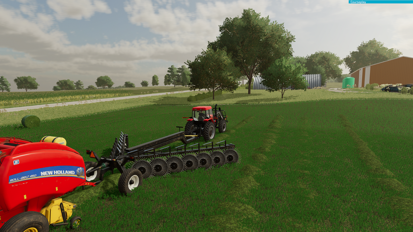 Cover image for Lizard Rake 8.5M