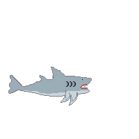 shark escape