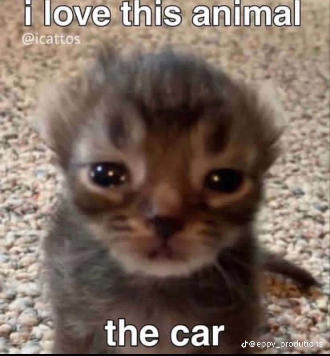 peanut butter cat jam itch.io