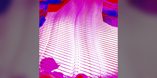 Cover image for sitting on rooftops