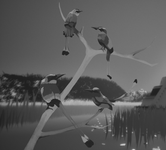 Birdy’s tale