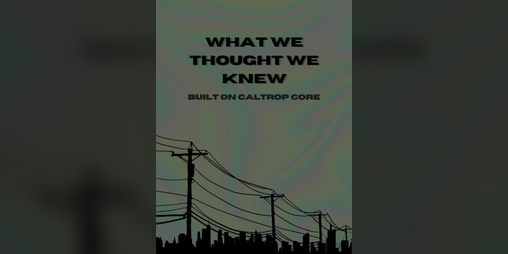 Cover image for What we thought we knew