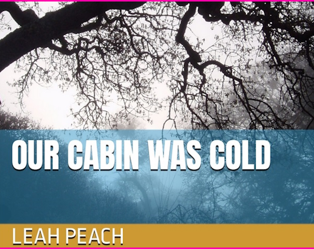 Cover image for Our Cabin Was Cold