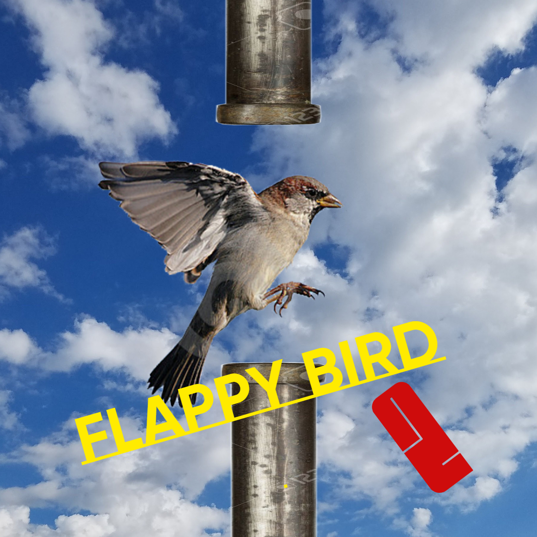 Flappy bird 2