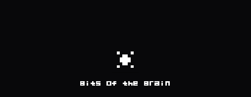 Bits of the Brain