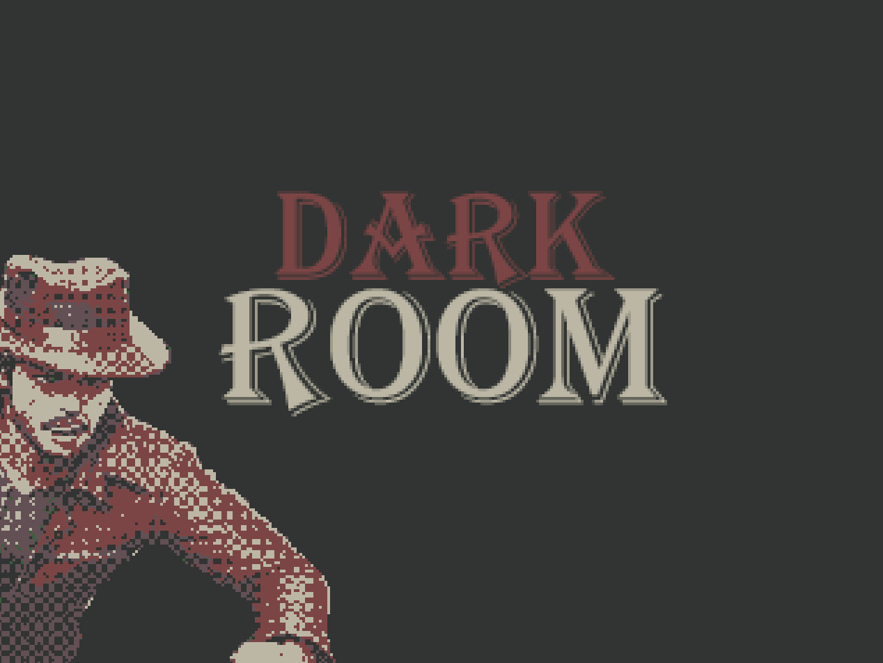 Cover image for Darkroom