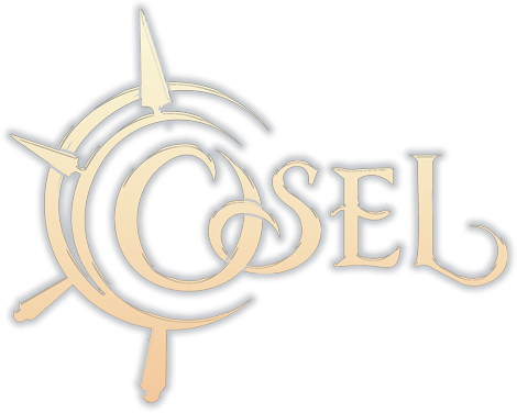 OSEL - 3ème année