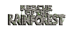 Rescue Of The Rainforest