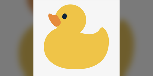 Cover image for Lost Ducks