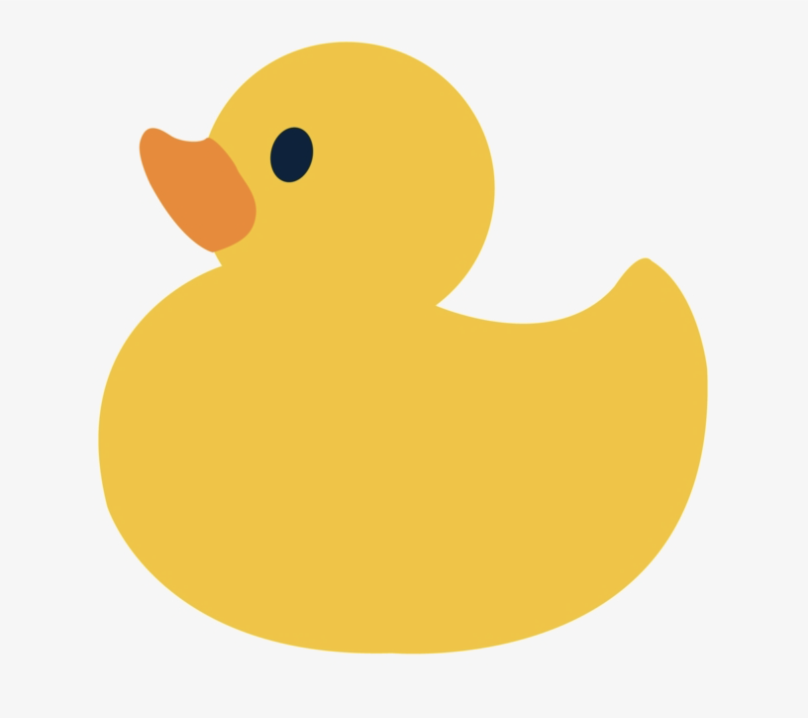 Cover image for Lost Ducks