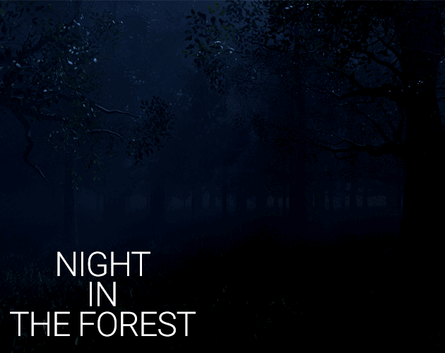 Cover image for NIGHT IN THE FOREST