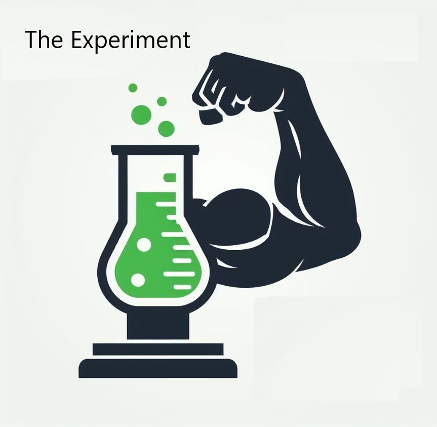 Cover image for The Experiment
