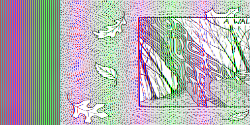 Cover image for A Walk in the Woods (MiniZine)
