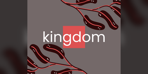 Cover image for kingdom
