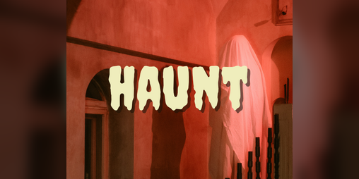 Cover image for Haunt