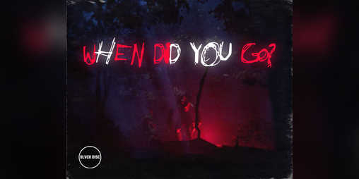 Cover image for When Did You Go?