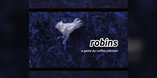 Cover image for robins