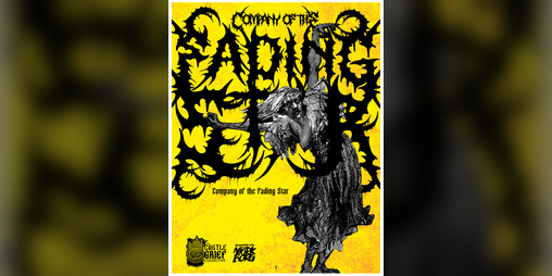Cover image for Company of the Fading Star