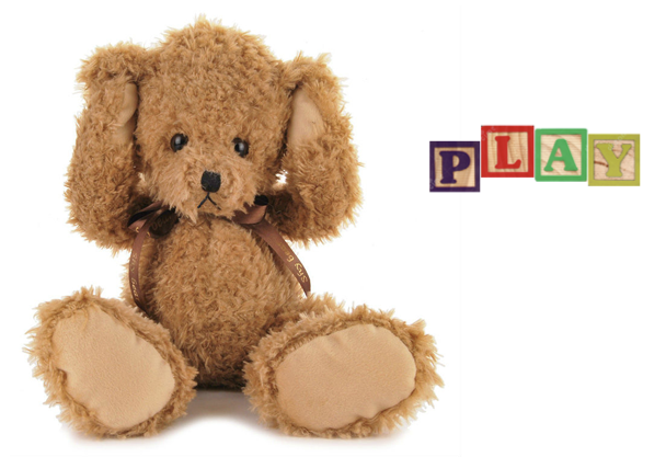 Torrenting Teddy