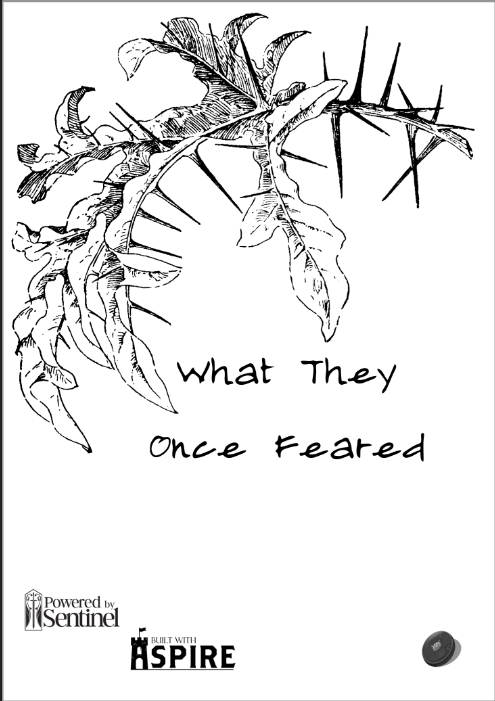 Cover image for What They Once Feared