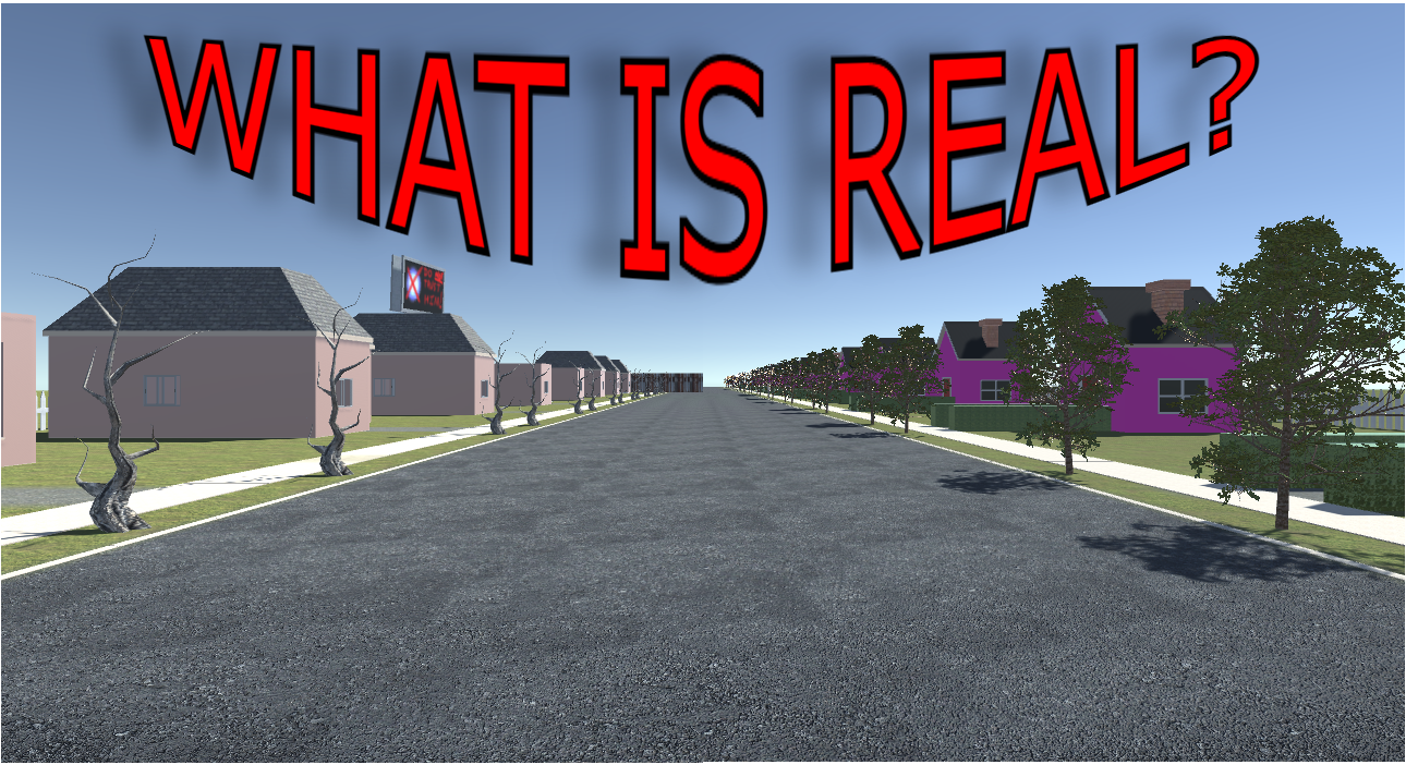 What is Real? cover