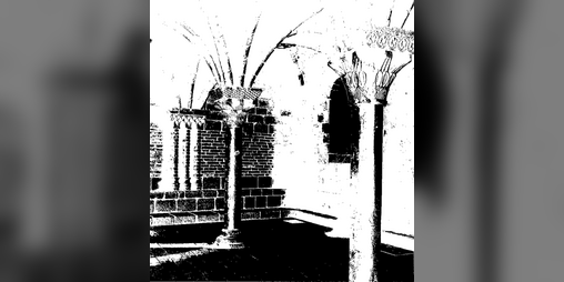 Cover image for MICRORUIN