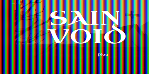 Cover image for SAINT VOID