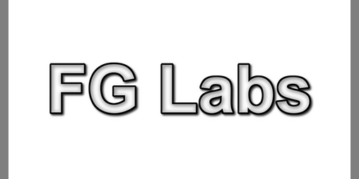 Cover image for FG Labs