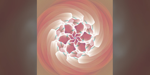 Cover image for flower explorer