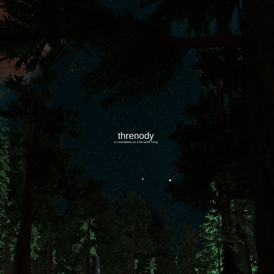 Cover image for threnody (or ruminations on a life worth living)