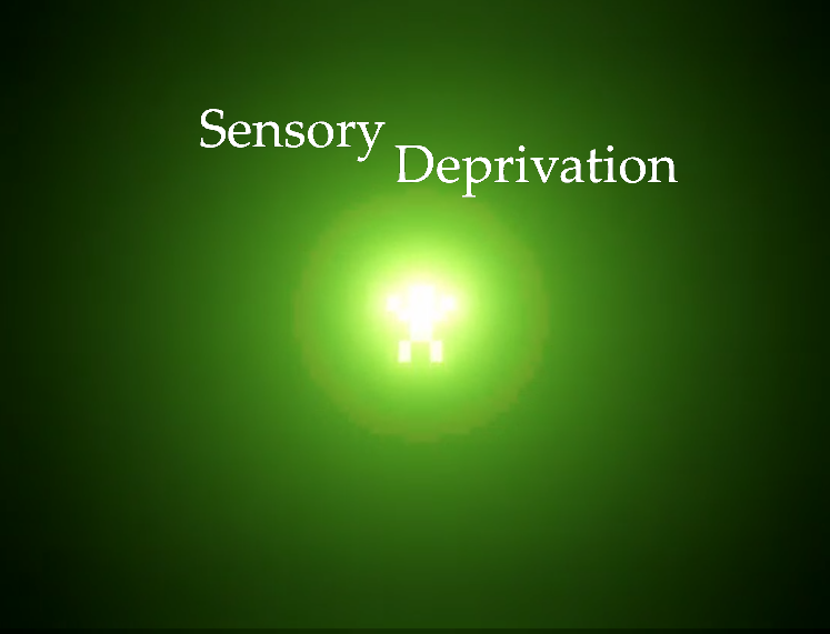 Sensory Deprivation (Ludum Dare 54 UNSUBMITTED)
