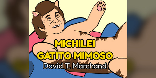 Cover image for Michilei: Gatito mimoso