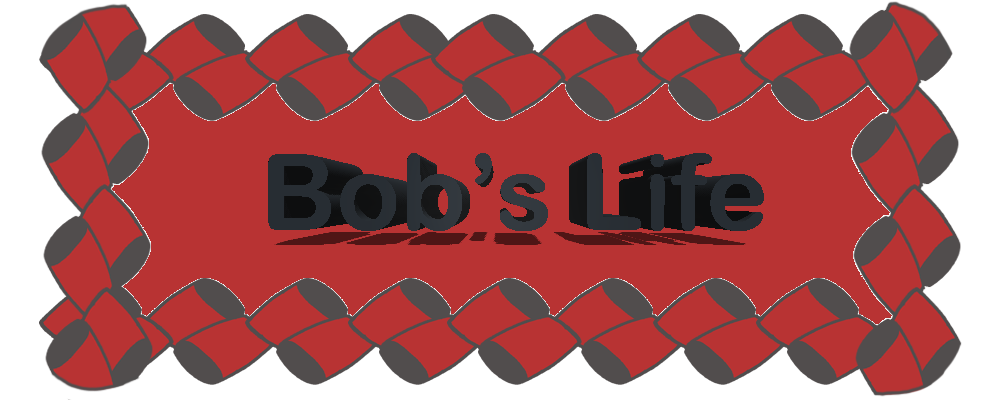 Bob's Life