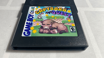 Capybara Quest - Jogue online na Coolmath Games