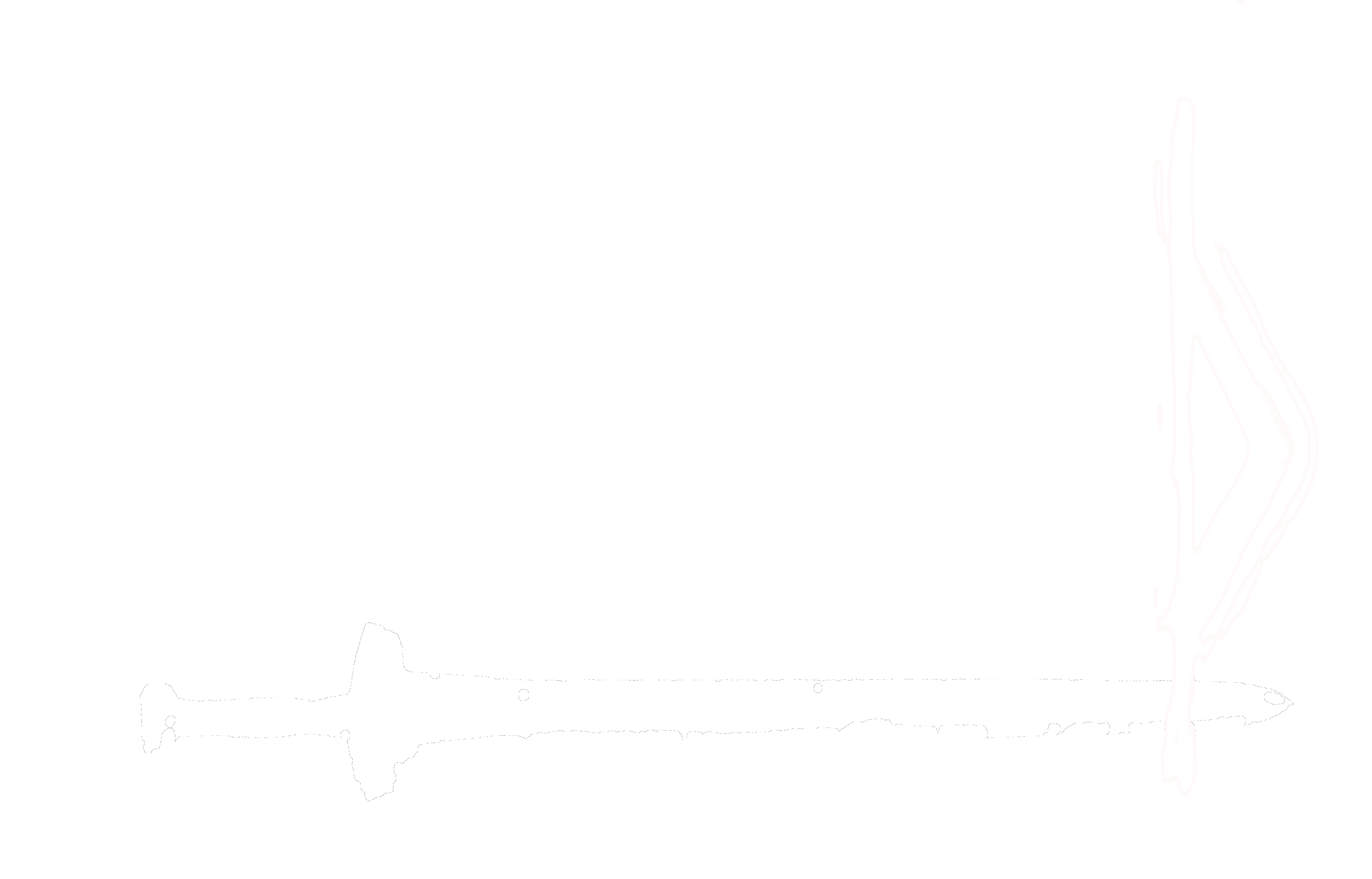 Wildgard - Skjaldmaer