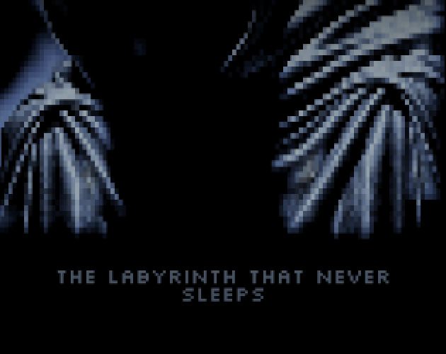 Cover image for The Labyrinth That Never Sleeps