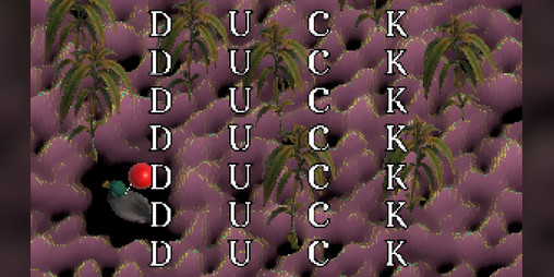 Cover image for DUCK DUCK DUCK