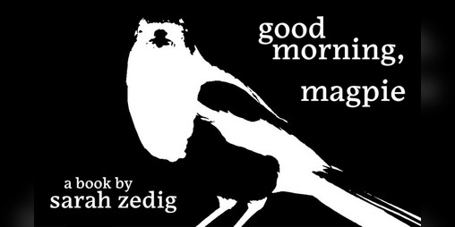Cover image for Good Morning, Magpie