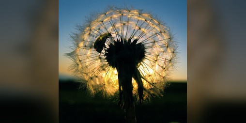 Cover image for Divine Intervention