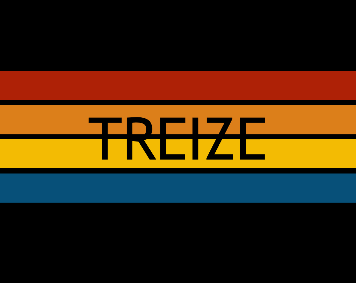 Cover image for Treize