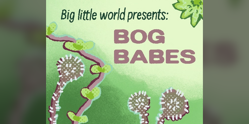 Cover image for Big Little World: Bog Babes