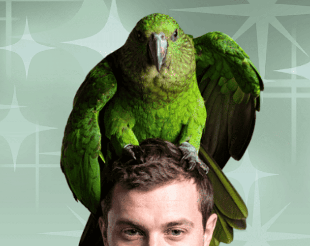 Cover image for kakapo.swf - Kakapo Clicker