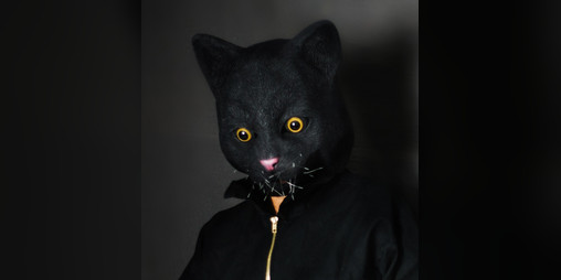 Cover image for No, I am not a Furry