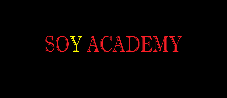 SOY ACADEMY