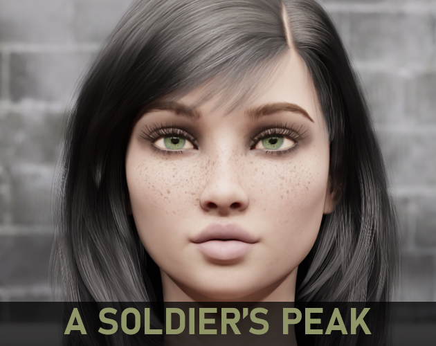 Cover image for A Soldier's Peak